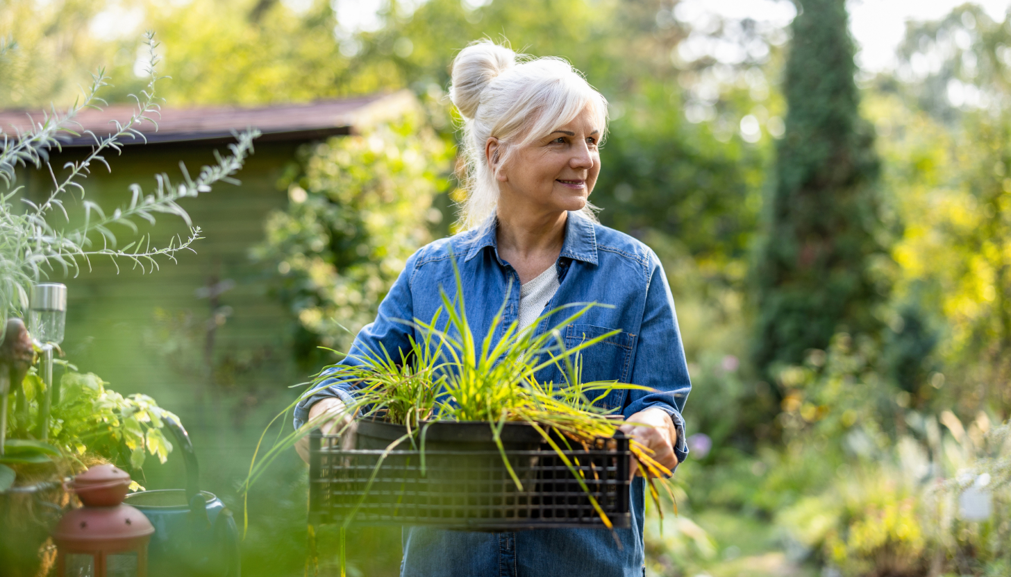Read more about the article Promoting Senior Independence at Every Age